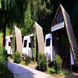 신베이 캠핑 | Jinshan Queenstown Forest | 풍차 하우스 덮힌 캠퍼 밴