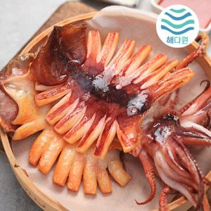 [해다원][냉동]해를품은 반건조오징어 소10미(600g)