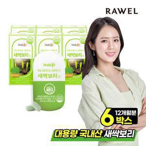 [5+1]로엘 웰업 새싹보리정 스피루리나 6통(12개월분), 500mg x 60정