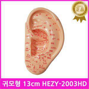 귀모형13.5cmHEZY2003HD / 귀경혈모형 인체모형