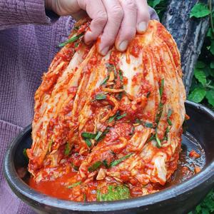 [시즌특가] 어사김치 국산 100% 김장배추 포기김치 3kg 5kg 10kg