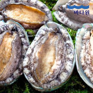 [바다원] 산지직송 완도 활전복 1kg (9-10미 내외)