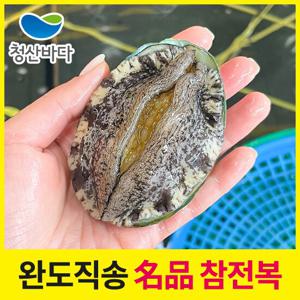 [청산바다] 완도직송 활전복 대복 1kg 10-12미