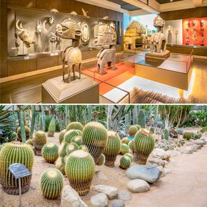 아프리카박물관+여미지식물원
