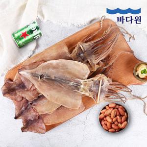 [바다원]국내 동해안 마른오징어 10미 (600g)_냉동