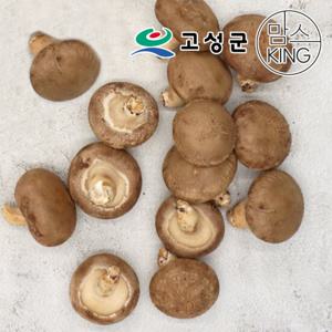 [공룡나라]고성 웅이표고농장 생표고버섯(생표고/하품1kg)