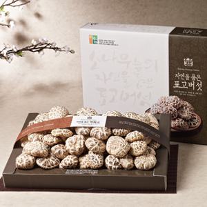 [자연두레] 백화고세트 (백화고500g)