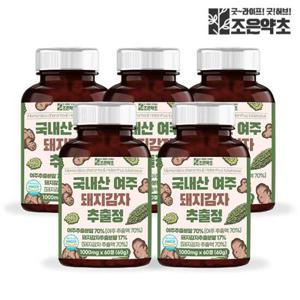 여주 돼지감자 정 식약처 HACCP 인증 1000mg 60정 x 5