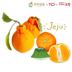 [우체국쇼핑] 제주 한라봉/천혜향/설국향 2kg 2개 구매시 중량UP(4.5kg발송) #천하일품#믿고 먹는