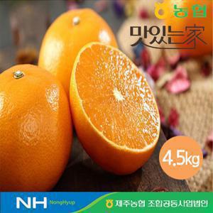 제주농협 귤로장생 천혜향 4.5kg