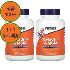 1+1 나우푸드 Celadrin 1500mg MSM 엠에스엠 120캡슐