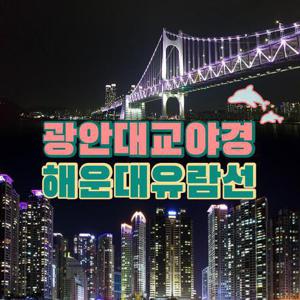 [부산] 해운대미포유람선 광안대교야경투어 승선권