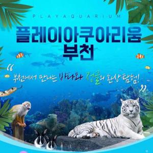 부천 아쿠아리움+동물원+파충류관+생태 도슨트