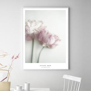 핑크 모란 꽃그림 액자 인테리어 포스터