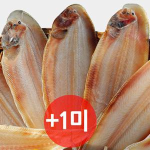 청정 반건조 생선 모음 박대 외 10종 