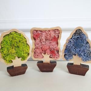  플라라  스칸디아모스 액자만들기 재료 순록이끼 소량판매 틸란드시아 공기정화식물 