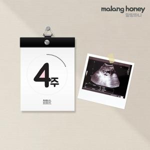 말랑하니 임신주수달력 출산선물 임신축하선물
