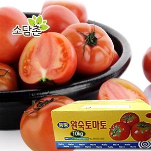 싱싱한 국내산 찰토마토10kg/정품