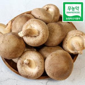 광헌팜 무농약 못난이표고버섯 1kg/2kg/4kg