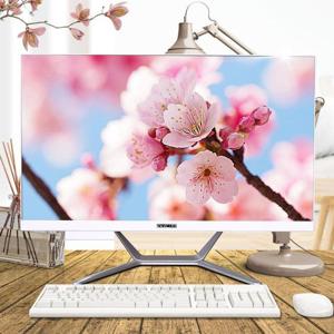 뷰라이프 올인원PC 24형 i5 AP-D238 FREEDOS RAM 8G/SSD240G