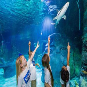 미국 올랜도|올랜도 씨라이프 아쿠아리움 입장권 SEA LIFE Orlando Aquarium