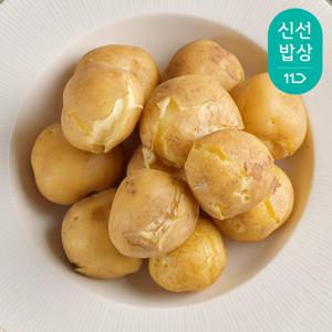 [품질보장]포근포근 햇 감자 5kg 중 23년산