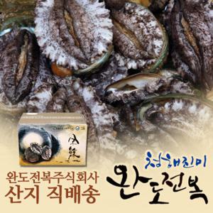 완도전복 대 11미 860g 선물박스포장_국내산양식[E1311B]