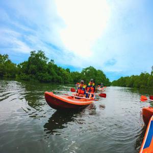 발리의 맹그로브 카누 탐험 : 낮과 밤의 카누 투어 | 인도네시아