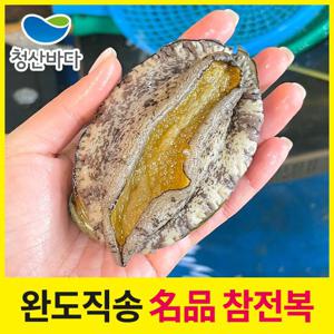 [청산바다] 완도직송 활전복 대복 1kg 9-10미