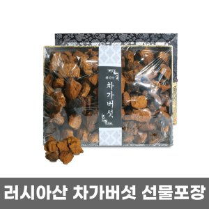 시베리아의 산삼 러시아산 차가버섯 선물용 1박스 1kg