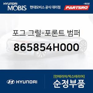 포그 그릴-포론트 범퍼 (865854H000) 그랜드 스타렉스,그랜드 스타렉스 특장