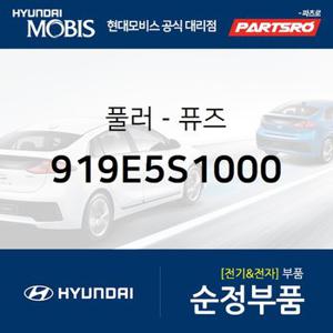 풀러-퓨즈 (919E5S1000) 디올뉴 투싼NX4,넥쏘,올뉴 싼타페,더뉴 싼타페,싼타페 하이브리드,셀토스,디 올 뉴 투싼