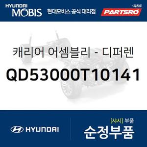 캐리어-디퍼렌셜 (QD53000T10141) 뉴 파워트럭 6X4,뉴 파워트럭 특장 6X4,트라고 엑시언트 6X4,트라고 엑시언트 특장 6X4,트라고 엑시언트 8X4/10X4,트라고 엑시언트 특장 8X4