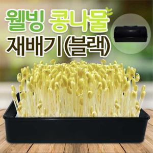 웰빙콩나물 새싹재배기 채소재배기 수경재배기 블랙