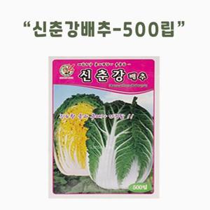 가드닝스토어 신춘강배추 씨앗 500립