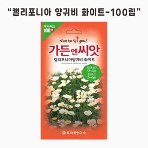 가드닝스토어 수입야생화 캘라포니아 양귀비 화이트 꽃 씨앗 100립 가든엔씨앗