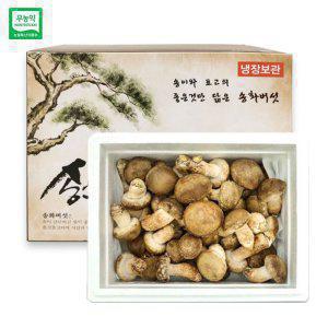 젊은농부 무농약 송화버섯 1kg 일반형 선물세트