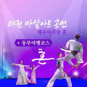 [제주] 태권마샬아트공연+동부여행코스