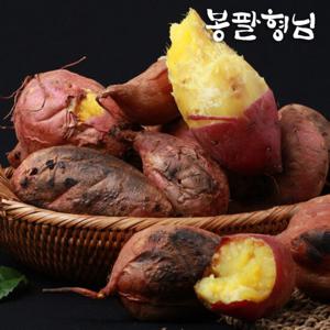 싱싱한 꿀밤고구마 특상 5kg 산지농장