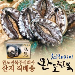 완도전복 대 11마리(780g) 선물박스포장_국내양식산[E1411B]