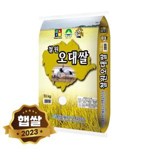 2024년 햅쌀 철원 오대쌀 10kg 단일품종 상등급