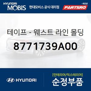 테이프-웨스트 라인 몰딩 펜더 (8771739A00) 그랜저XG 현대모비스 부품몰