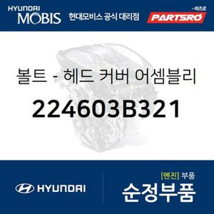 볼트-헤드 커버  (224603B321) 에쿠스,뉴 에쿠스