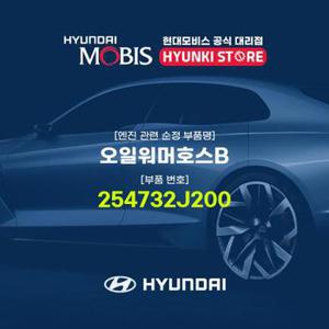 현대모비스오일워머호스B (254732J200)