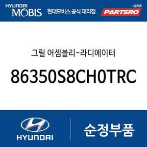 그릴-라디에이터 (86350S8CH0TRC) 더 뉴 팰리세이드