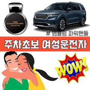 4세대 카니발을 샀다면 눈치껏 꾸며보자 파워핸들