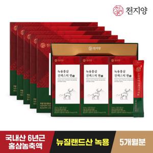 [천지양]녹용홍삼 진액스틱 현 30포*5박스 +쇼핑백