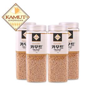 고대곡물 정품 카무트 쌀 1kg X 4개 (용기)