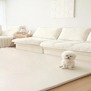 [쁘띠메종 펫] 한판매트 300X140X4cm_디자인