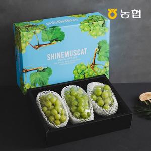 [자연맛남 추석] 농협선별 프리미엄 샤인머스켓 선물세트 2kg (2-3수)
